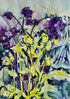 Aquilegia A4 Framed Print