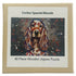 Cocker Spaniel Jigsaw Puzzle