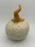 Speckled Pumpkin
