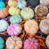 Jezzy Pumpkins