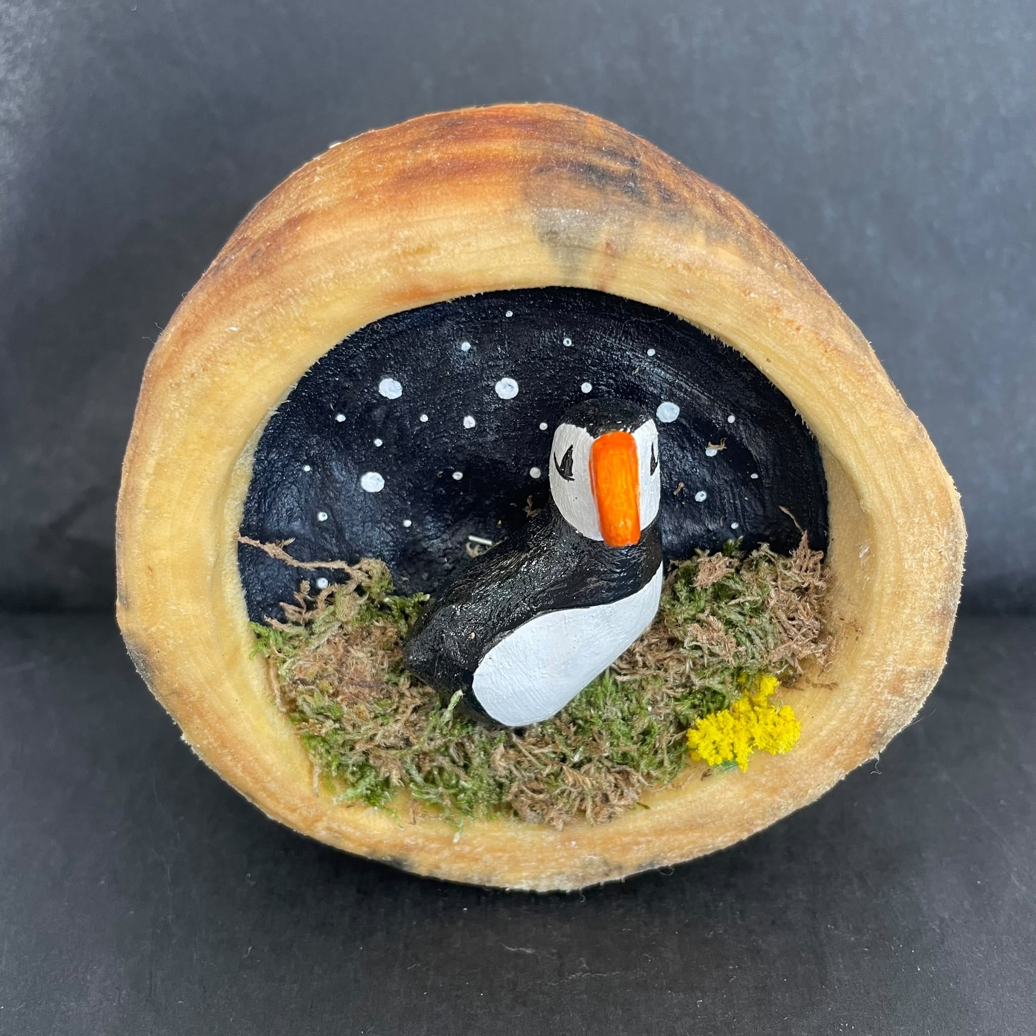 Medium Wood Slice Puffin
