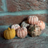 Jezzy Pumpkins