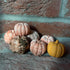 Jezzy Pumpkins