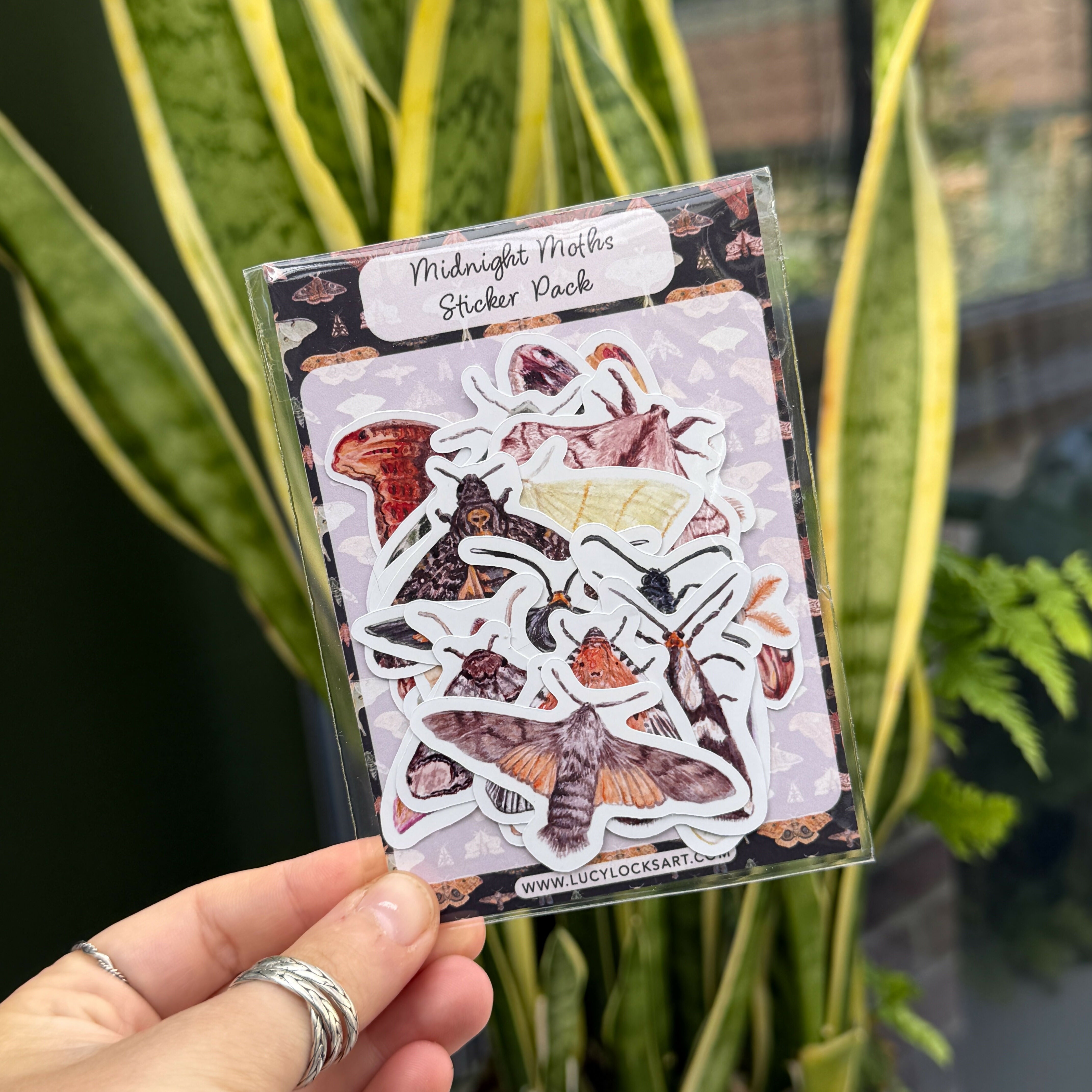 Moths - Gloss Sticker Pack