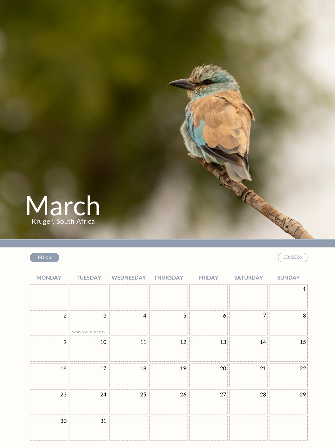 2026 Safari Calendar