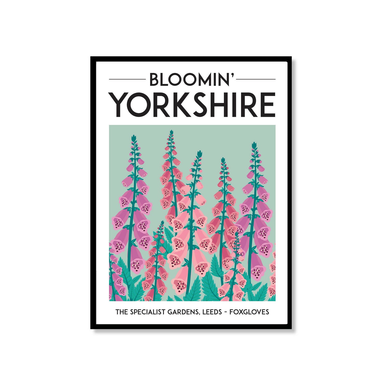 Blooming Yorkshire, The Specialist Gardens Foxgloves - A3 Framed Print