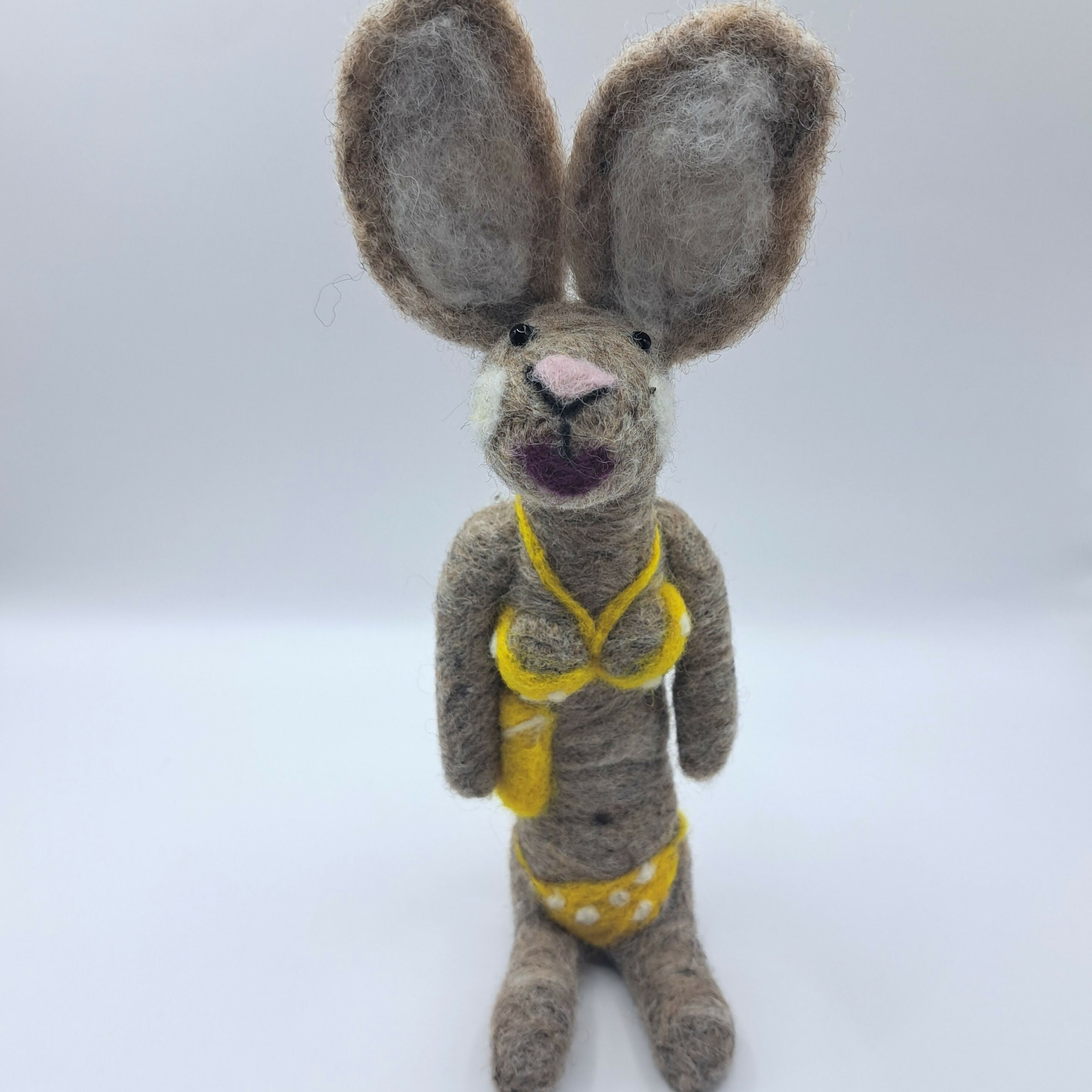 Miss Yorkshire Hare