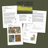 Figham Bird Report 2025 - A5 Booklet
