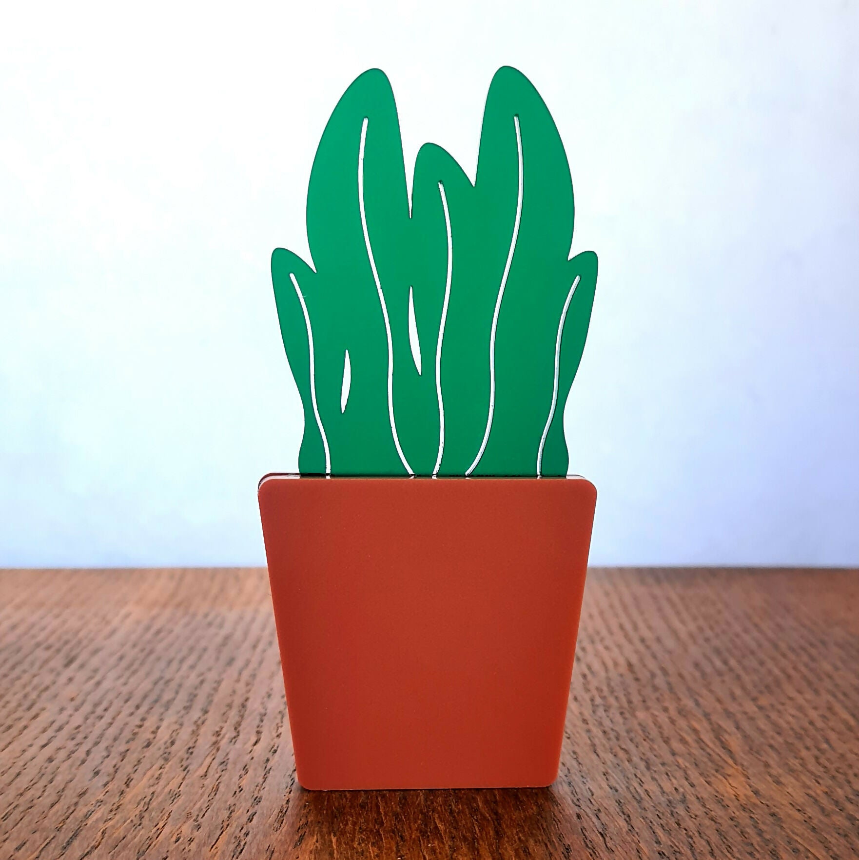 Houseplant - Shelf sitters