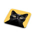 Black Cat Yellow Eyes Coaster