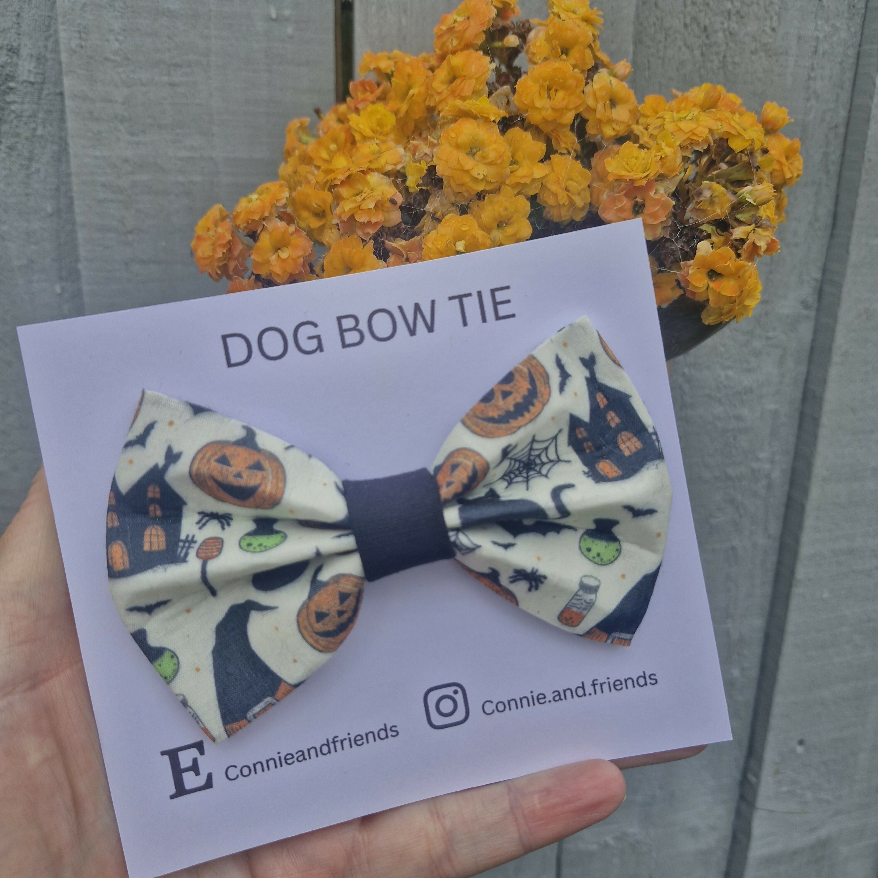 Halloween Dog Bow Tie.