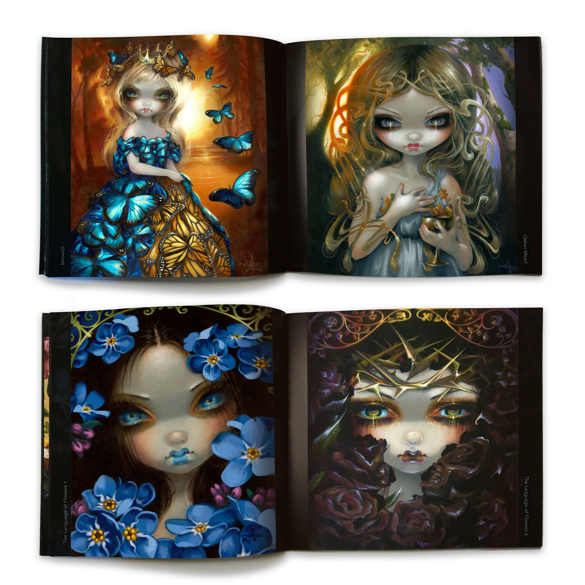 The Little Book of Fairies