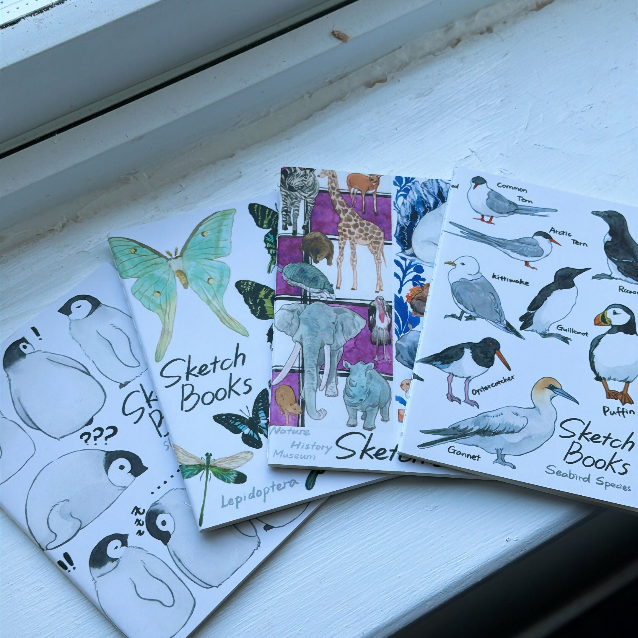 A6 Notebook 48 pages-seabirds，penguin，museum，butterfly