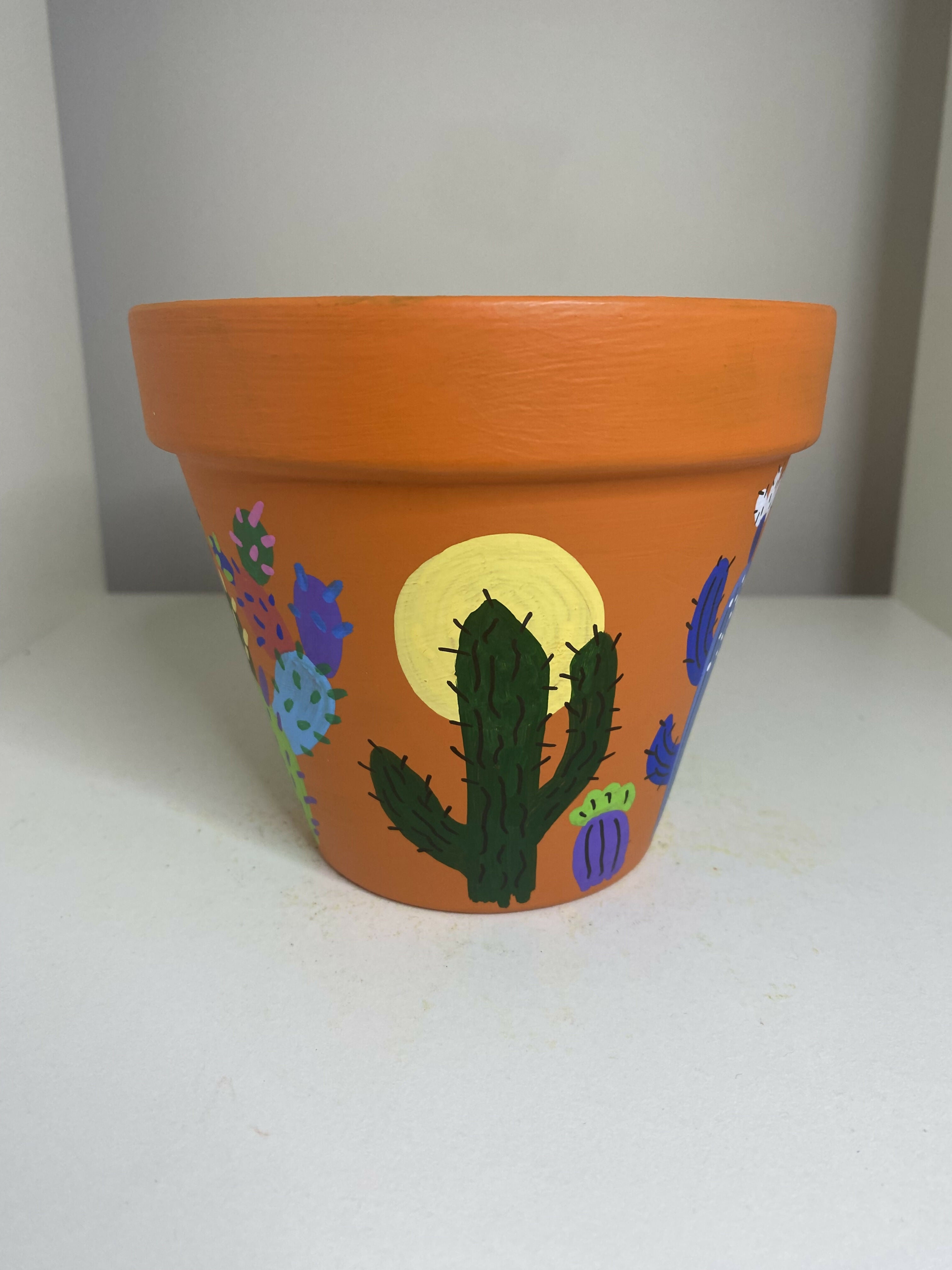 Cactus Pot