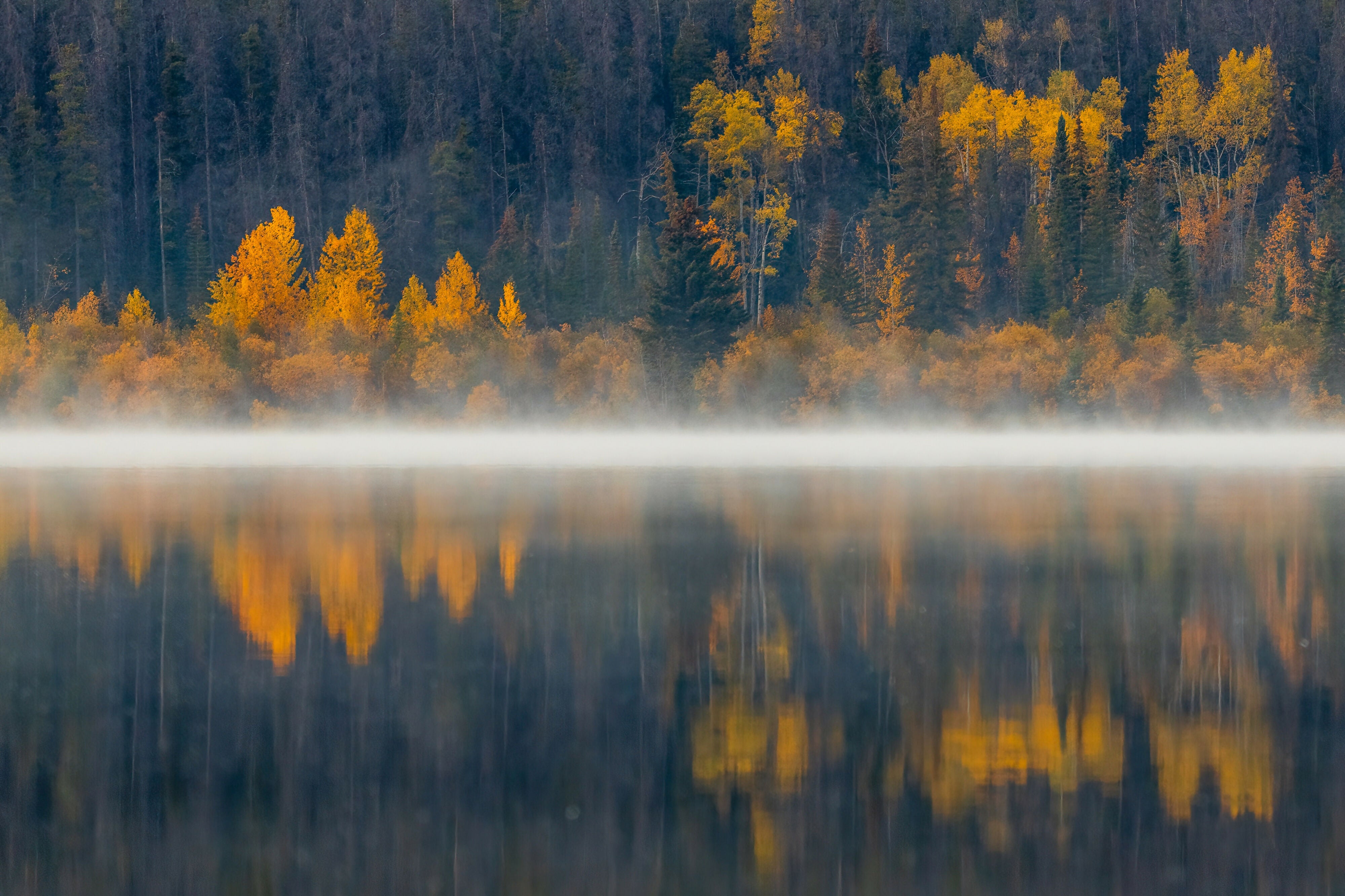 Abstract Mornings - Photograph