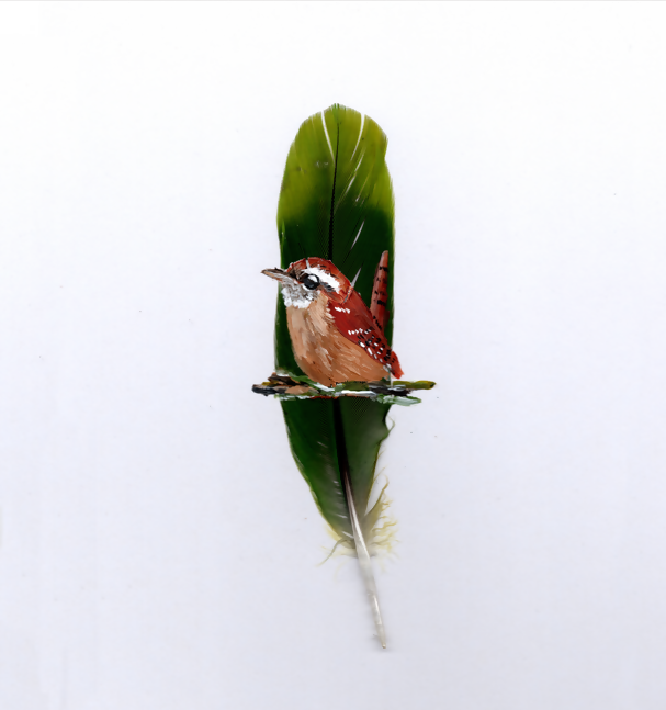 Wren Feather Painting