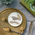 Treecreeper Coaster