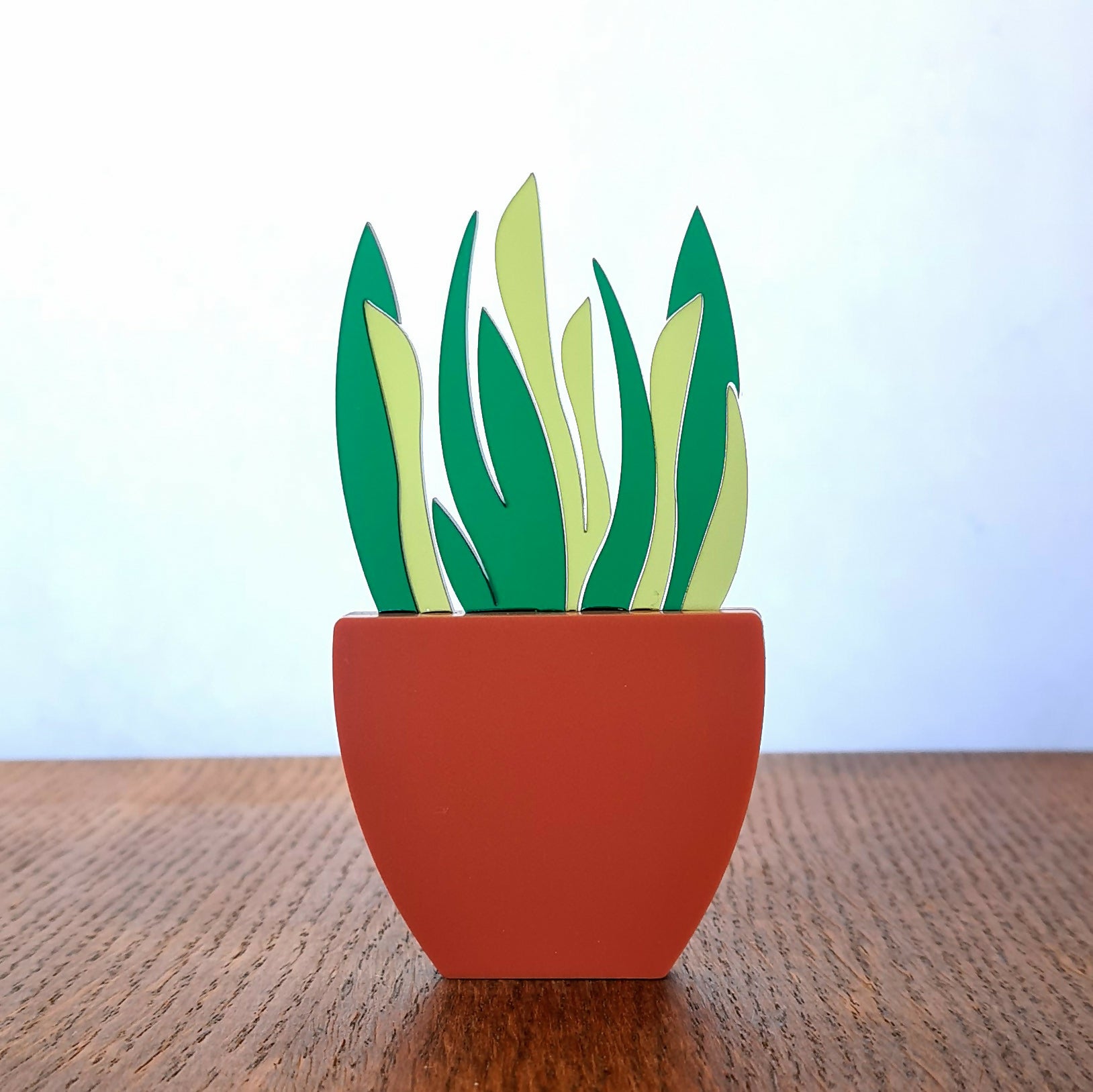 Houseplant - Shelf sitters