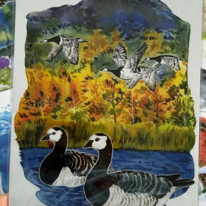 A5 Wild birds Prints