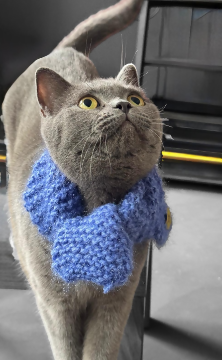 PET SCARF, COSY SHIMMERY BLUE - CAT OR SMALL DOG