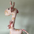 Rainbow Giraffe