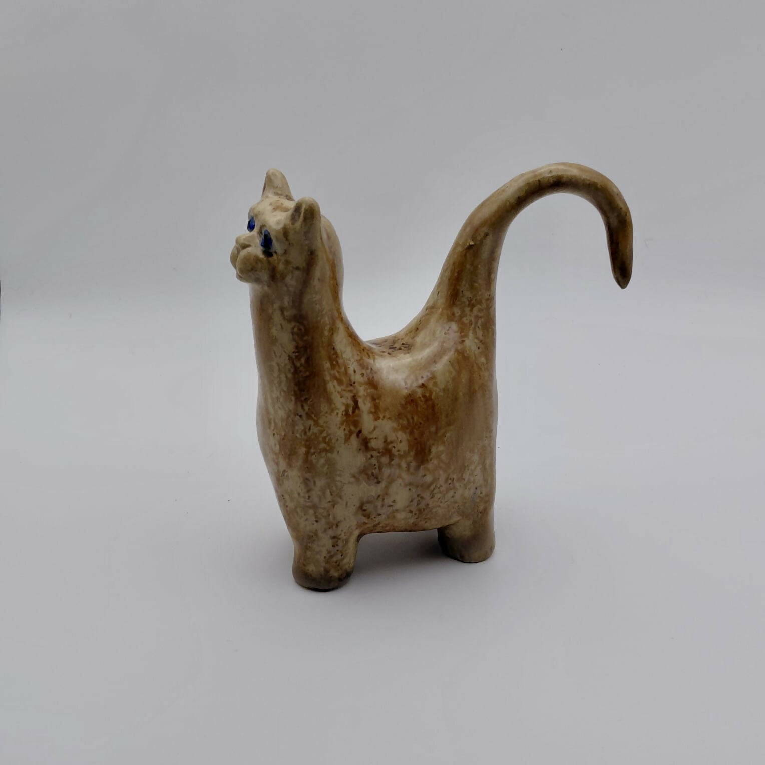 Earthlight Cat