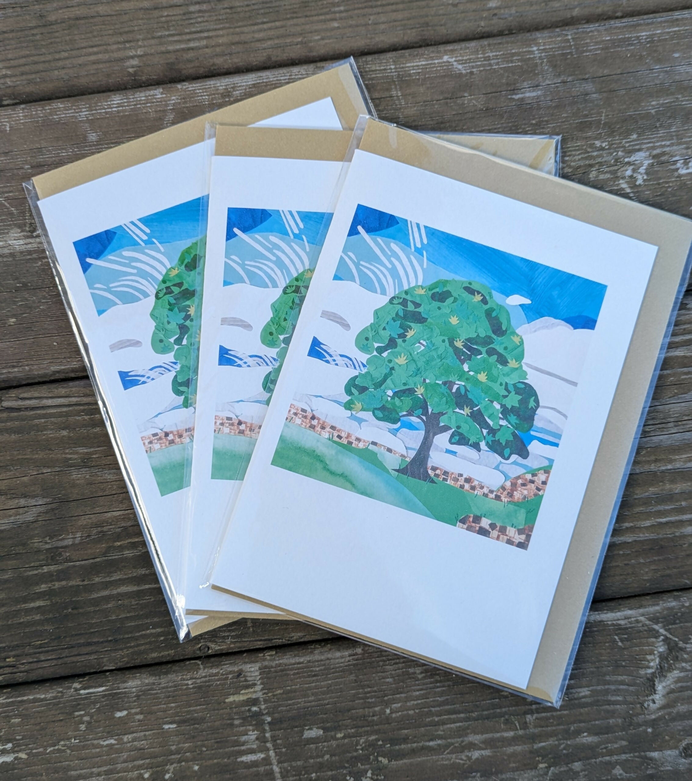 Sycamore Gap Greetings Card
