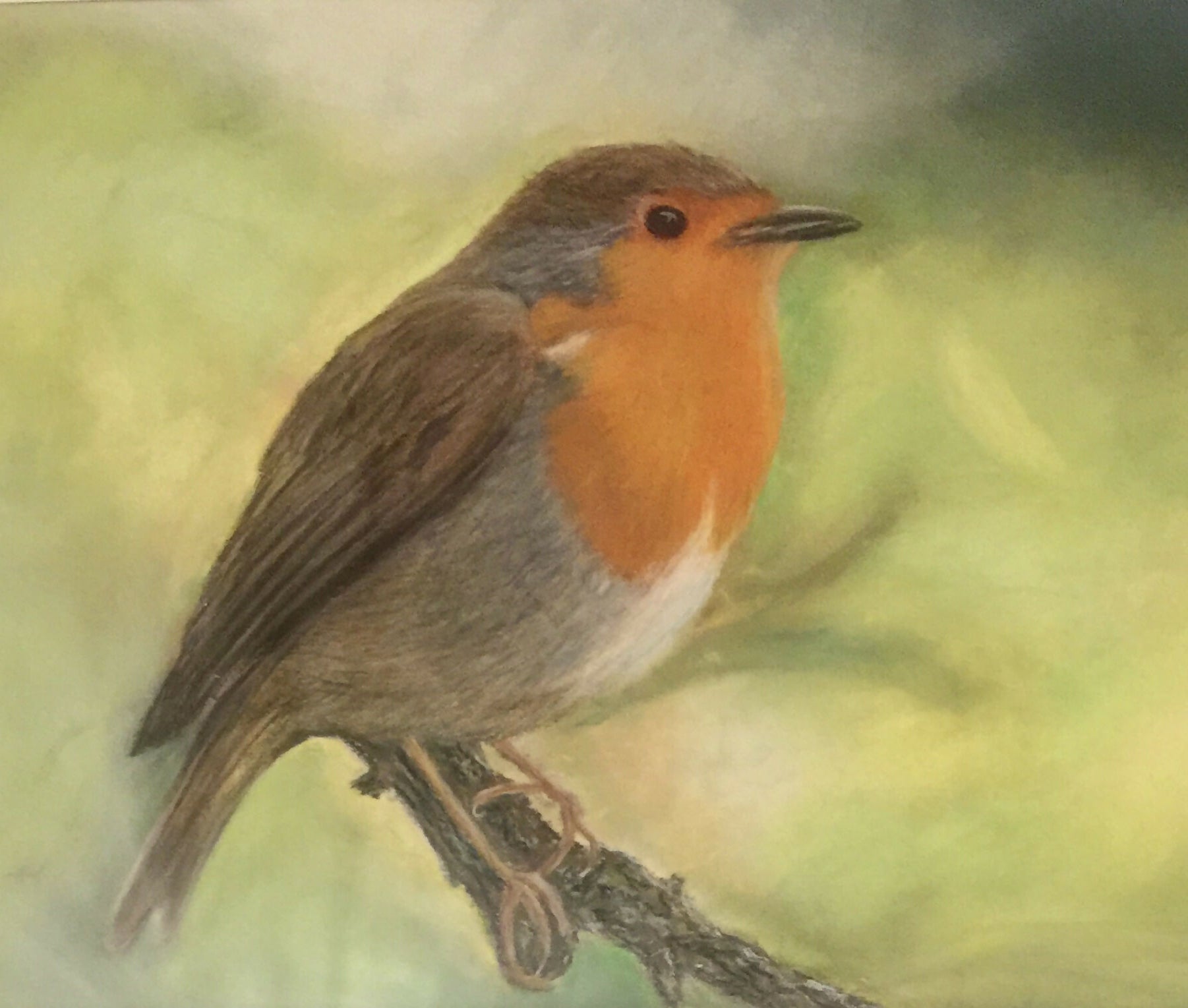 CUTE ANIMAL FRAMED PRINT 7x5in