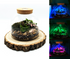Untitled design (5)