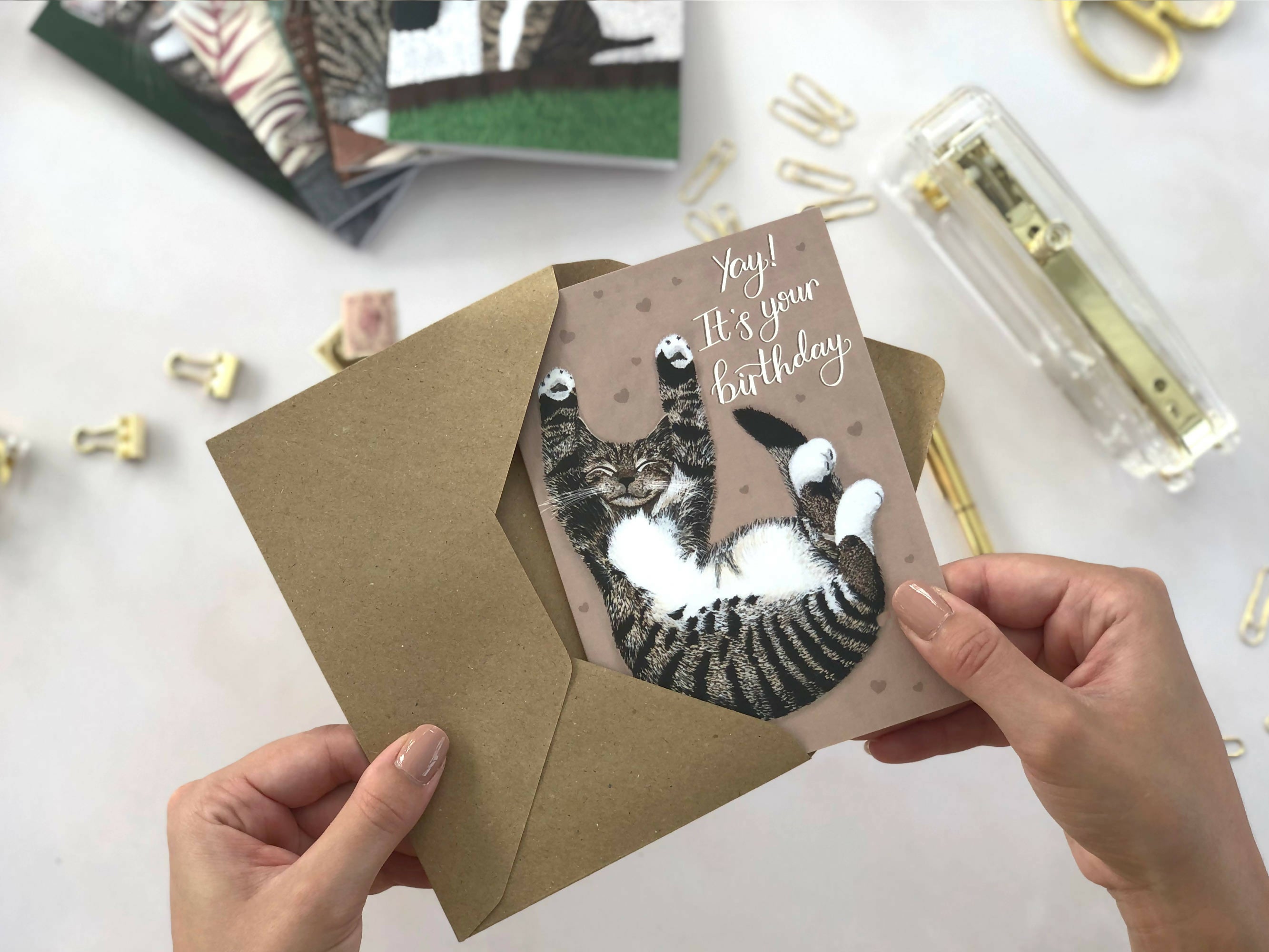 Tabby Cat Beige A6 Birthday Card