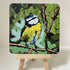 Blue Tit Bird - Coaster