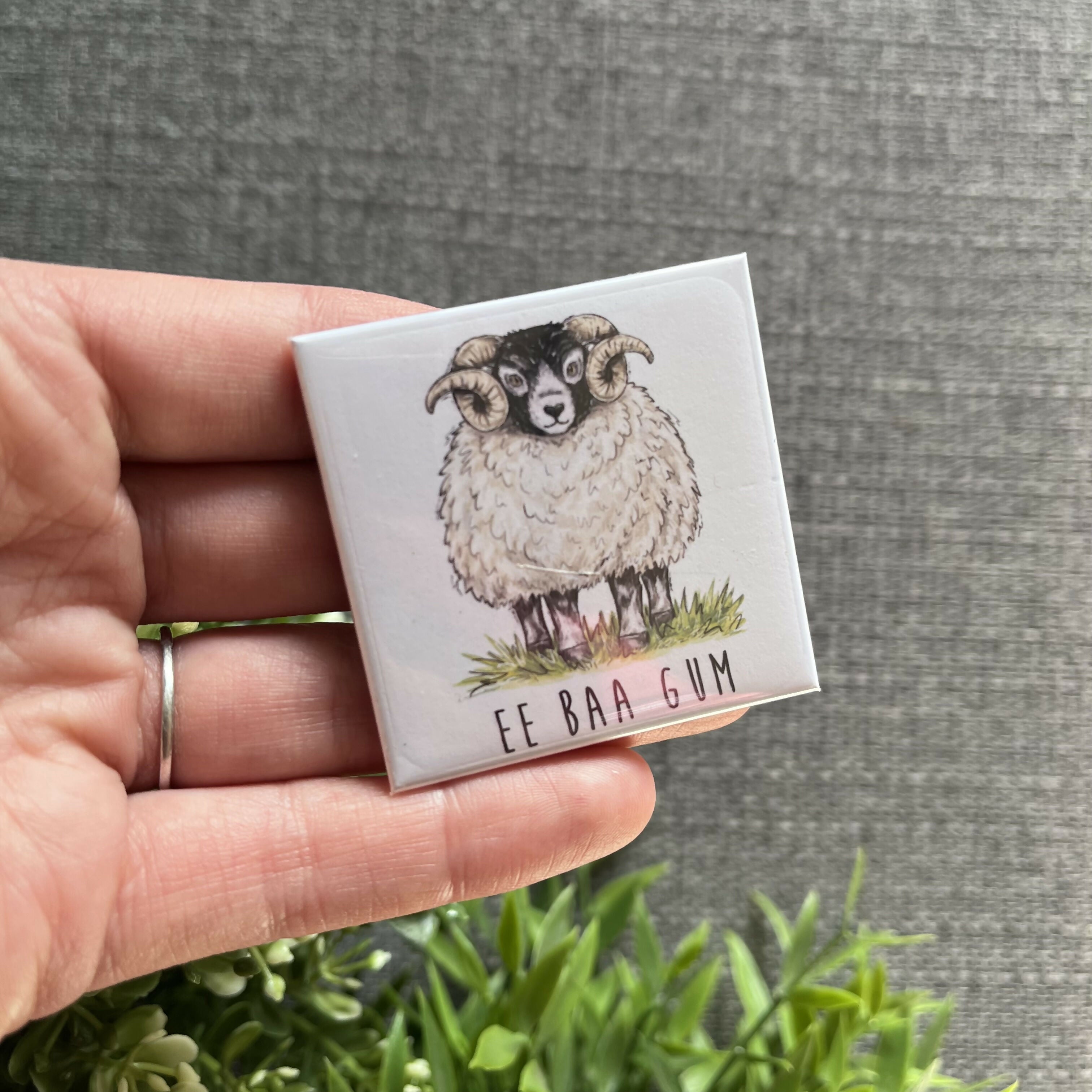 Ee Baa Gum Sheep Yorkshire Fridge Magnet