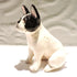 Ceramic White and Black French Bulldog Sculpture