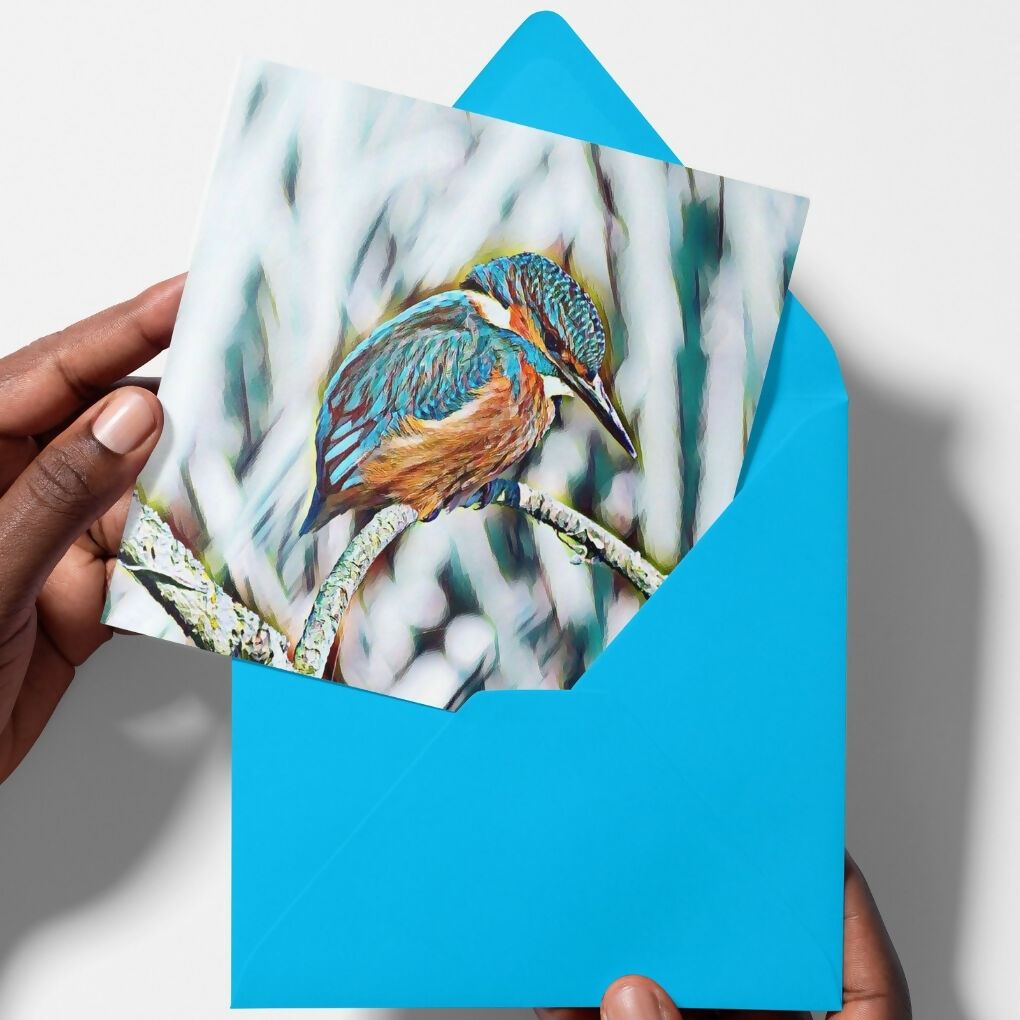 kingfisher