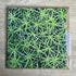 Starry Moss – Square Greetings Card