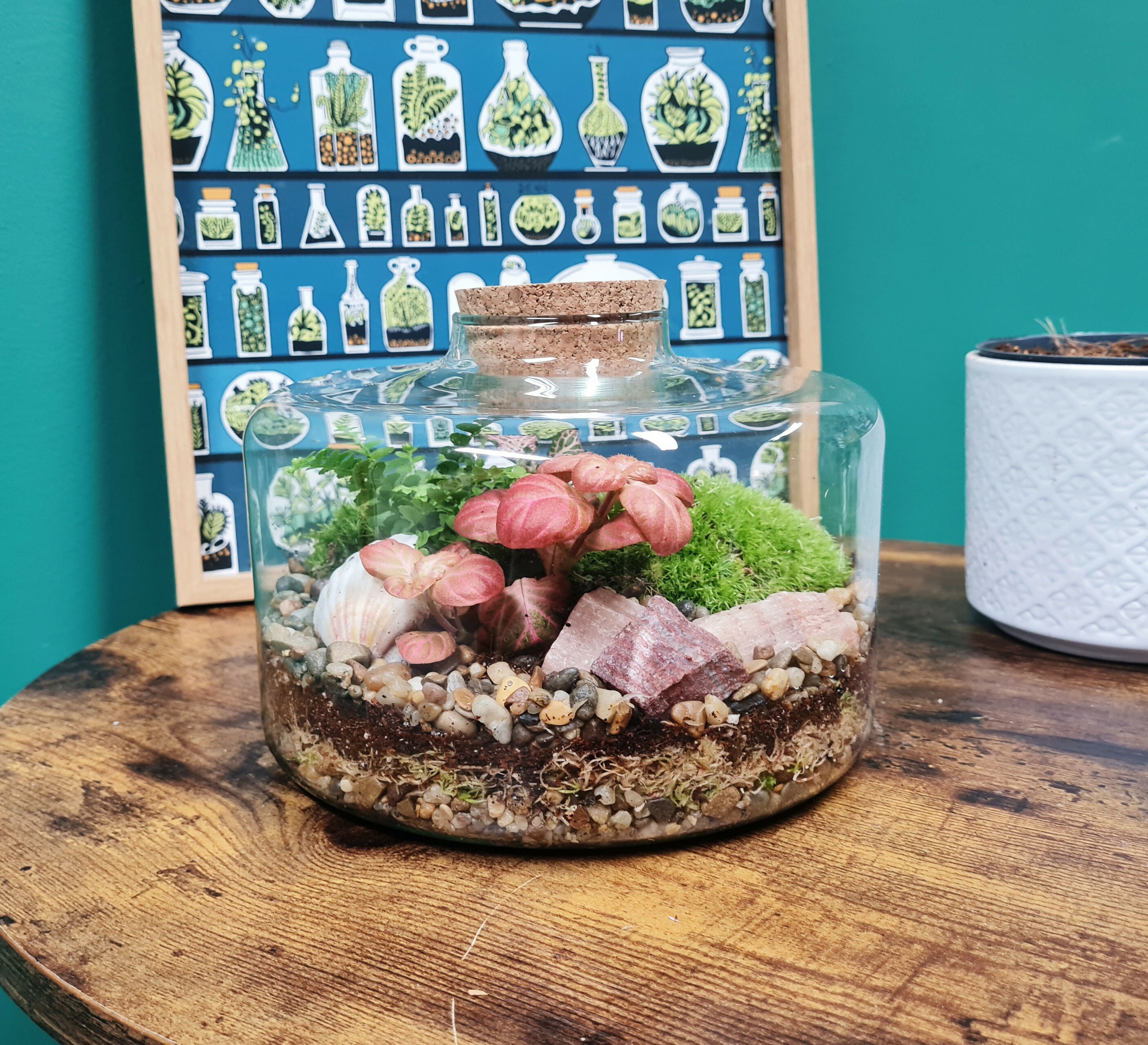 Short & Stout Terrarium