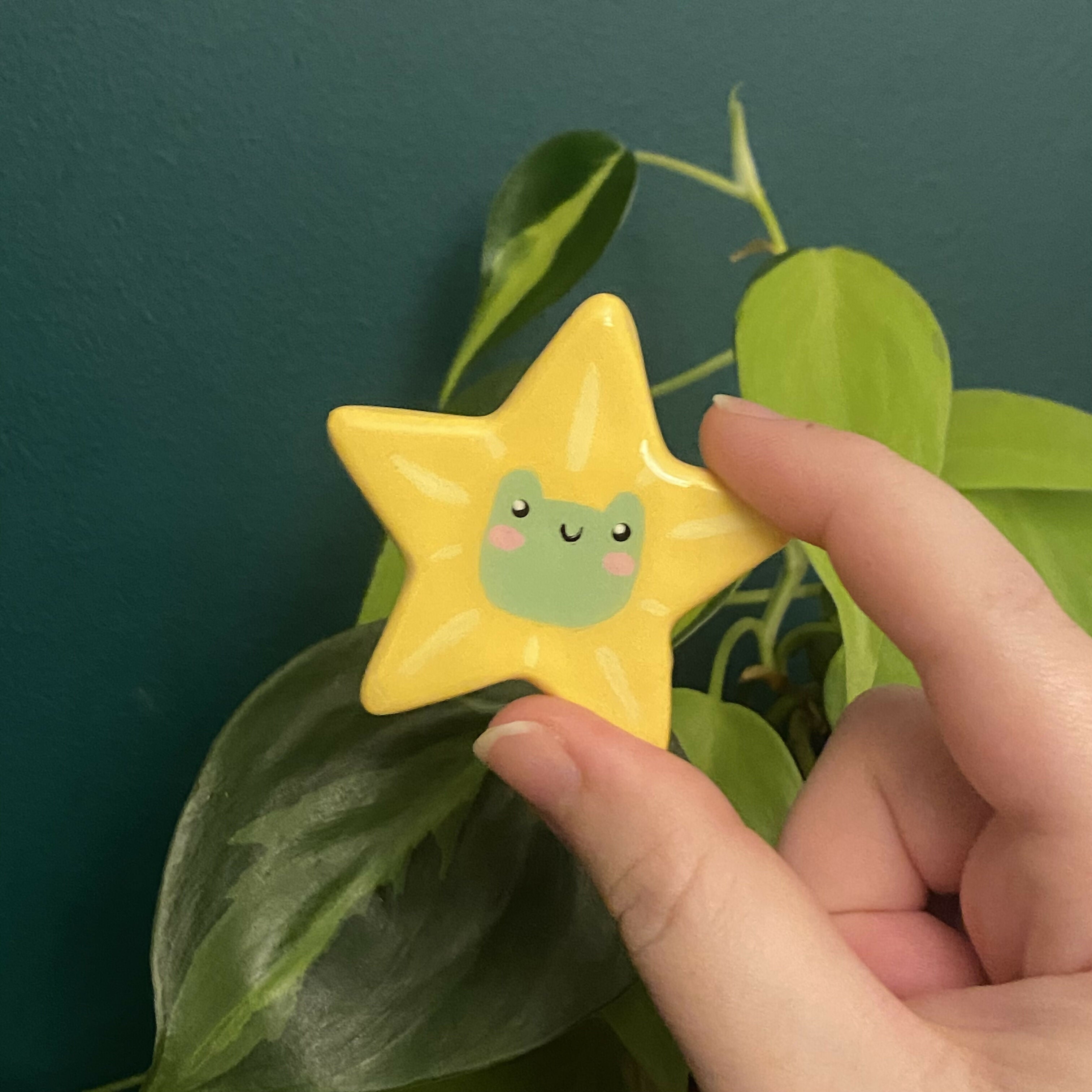 Handmade Clay Magnet Star Frog