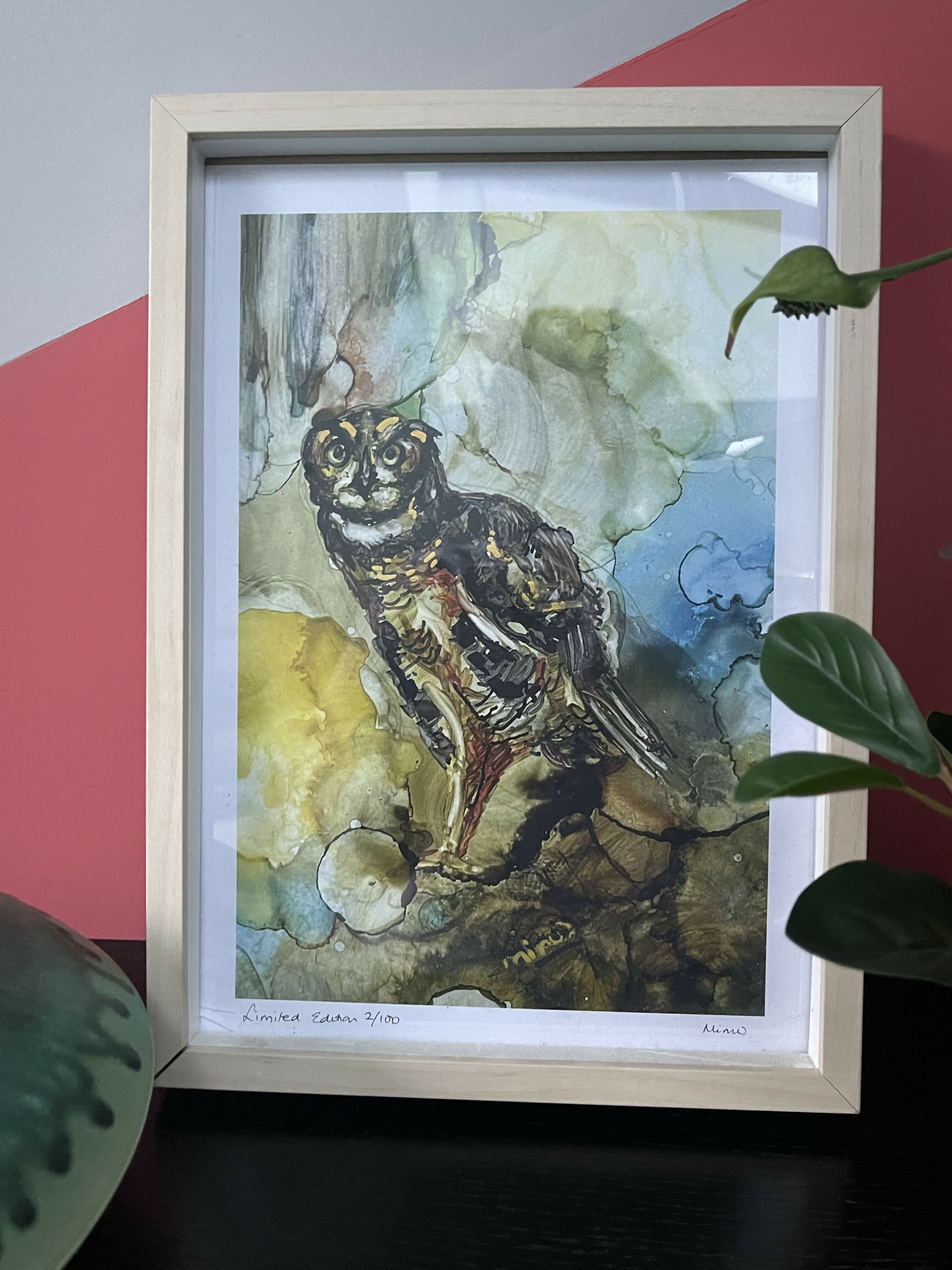 The Owls Gaze - Limited Edition Print