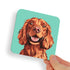 Spaniel Ginger Red Setter Dog Coaster