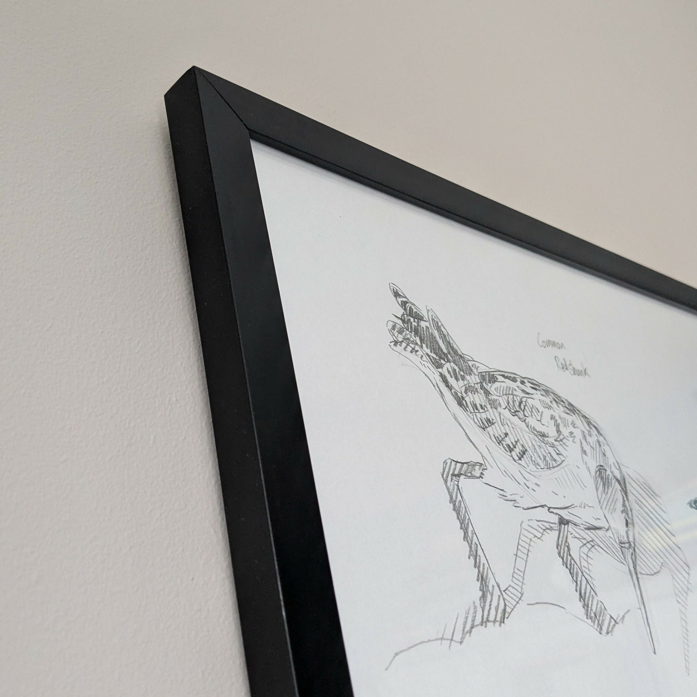 Redshank Sketches - A3 Original Framed