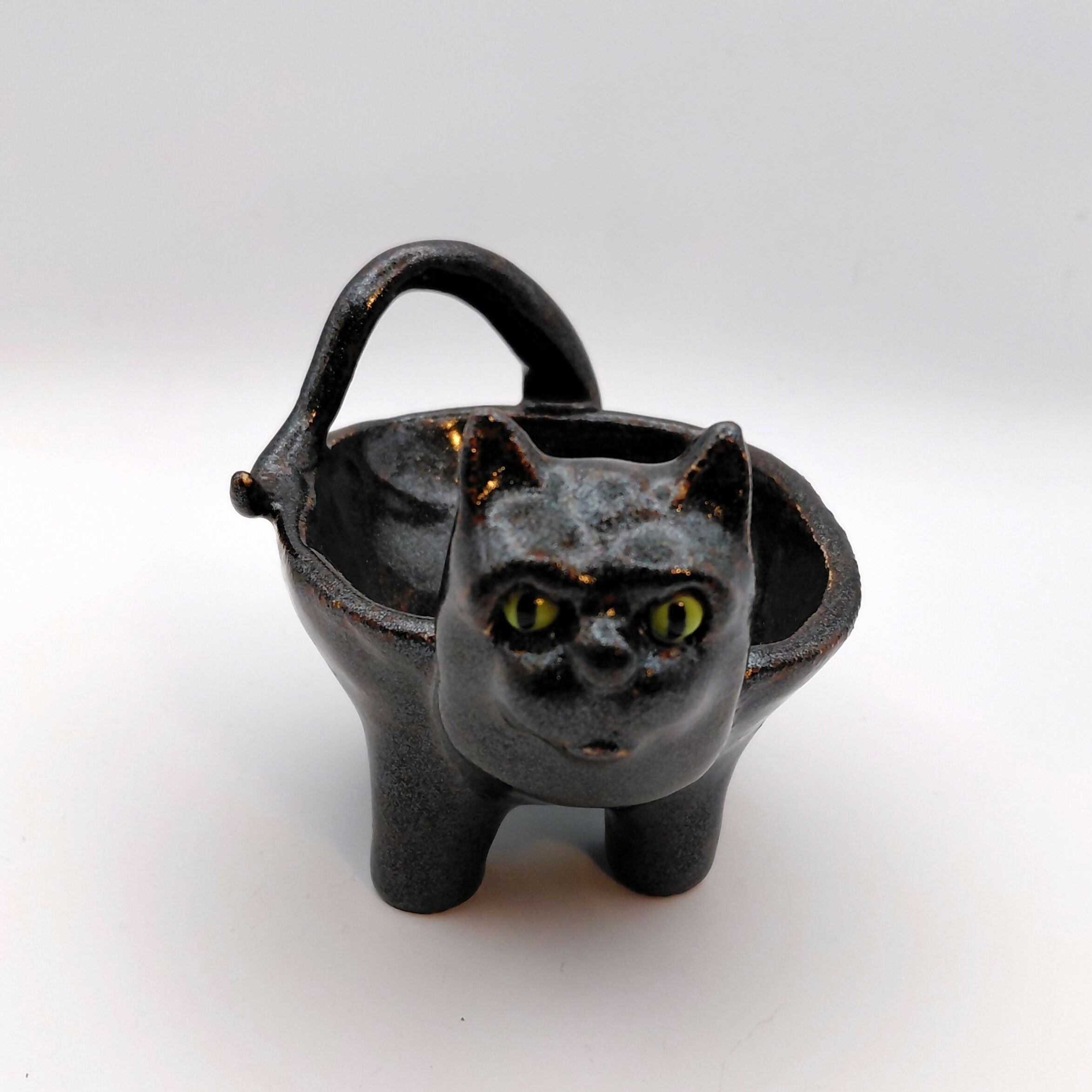 Moonbasket Cat