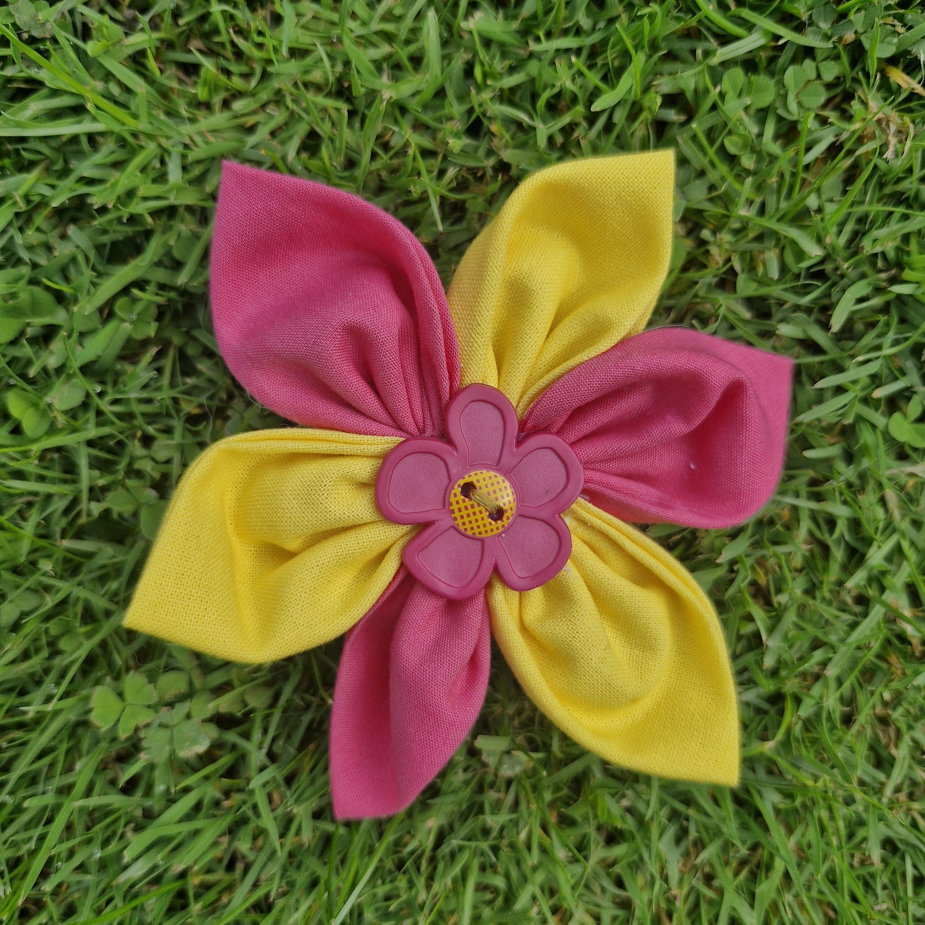 Dog Collar Flower