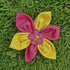 Dog Collar Flower