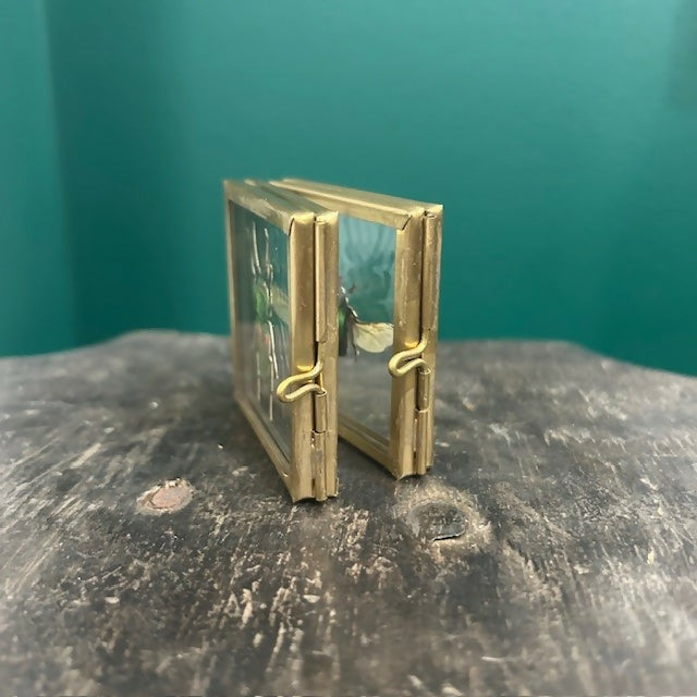 Lovely Faux Paper Rainbow Stag Beetle & Rose Chafer Beetle In An Antique Inspired Mini Book Frame