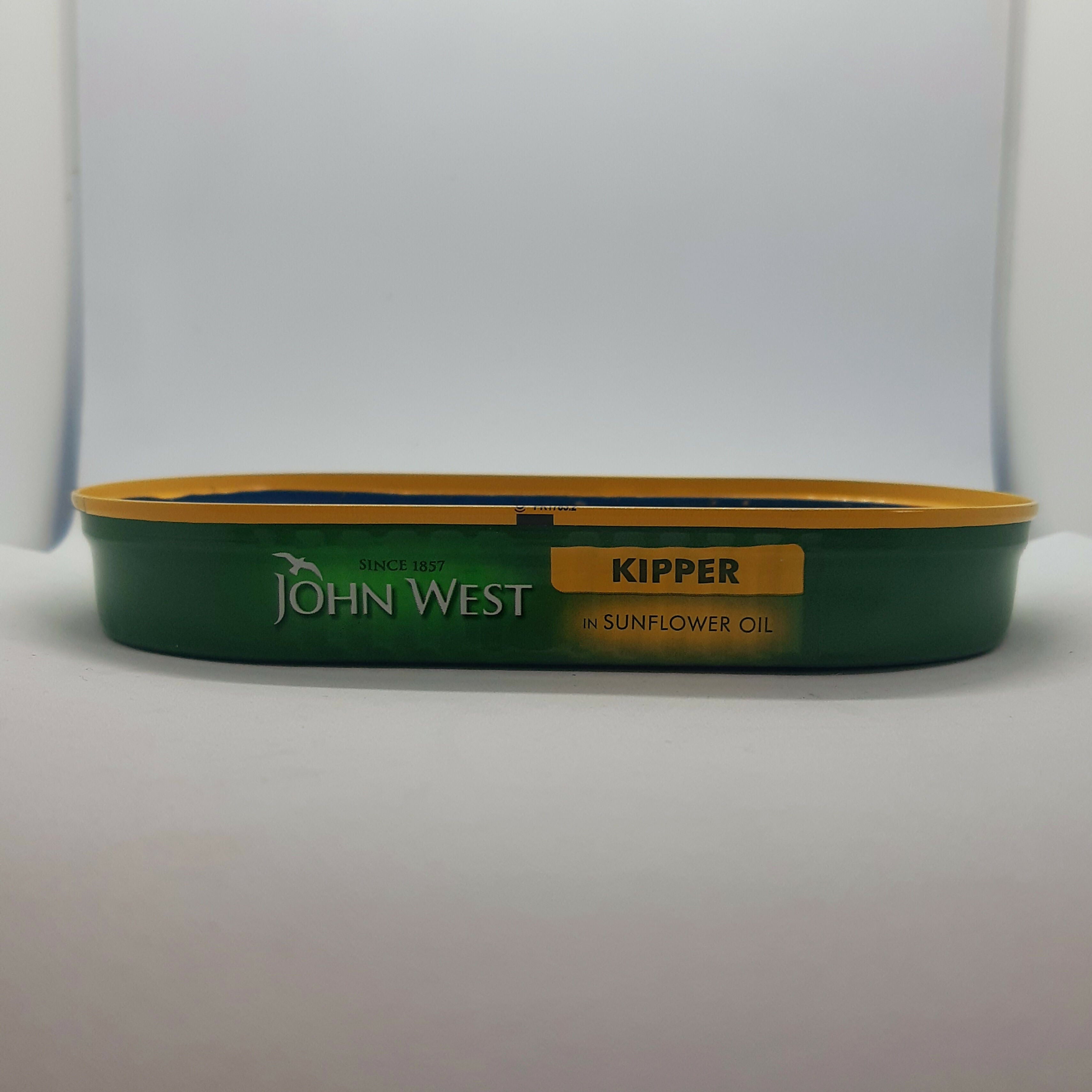 Clay Fish Painted Tin Desk Pet/Buddy