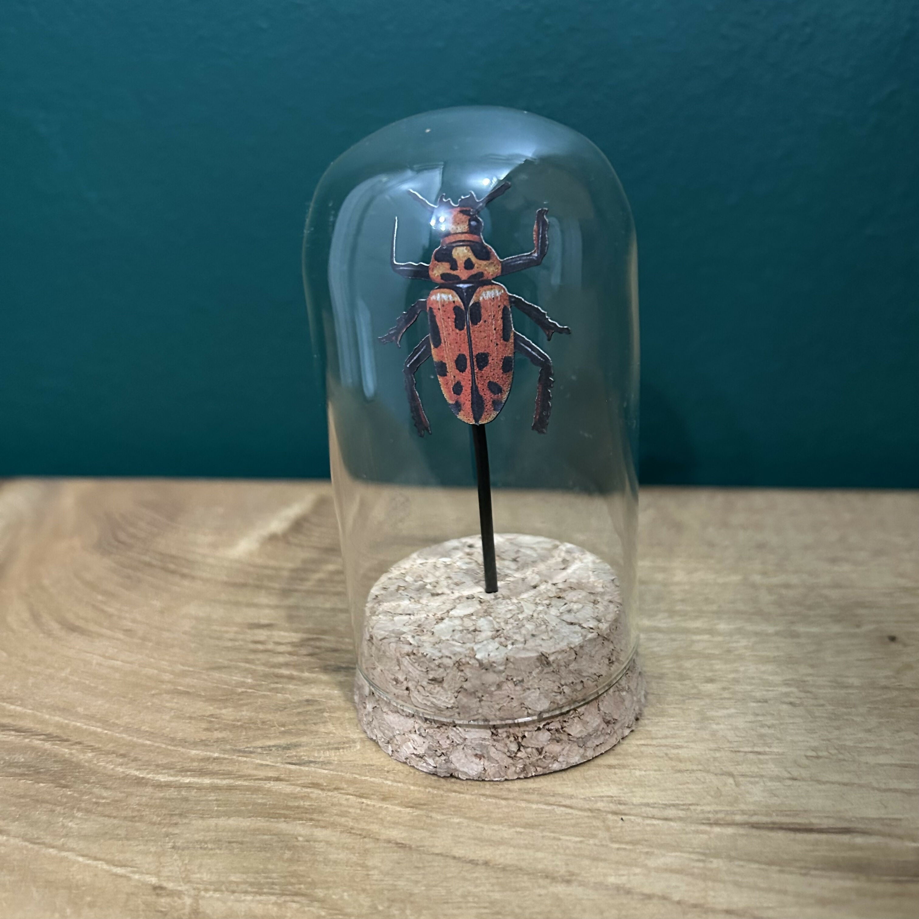 Antique Inspired Beetle In A Dome