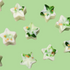 Mistletoe Kisses - Green Leaf & Cedar Fragranced Star Wax Melts