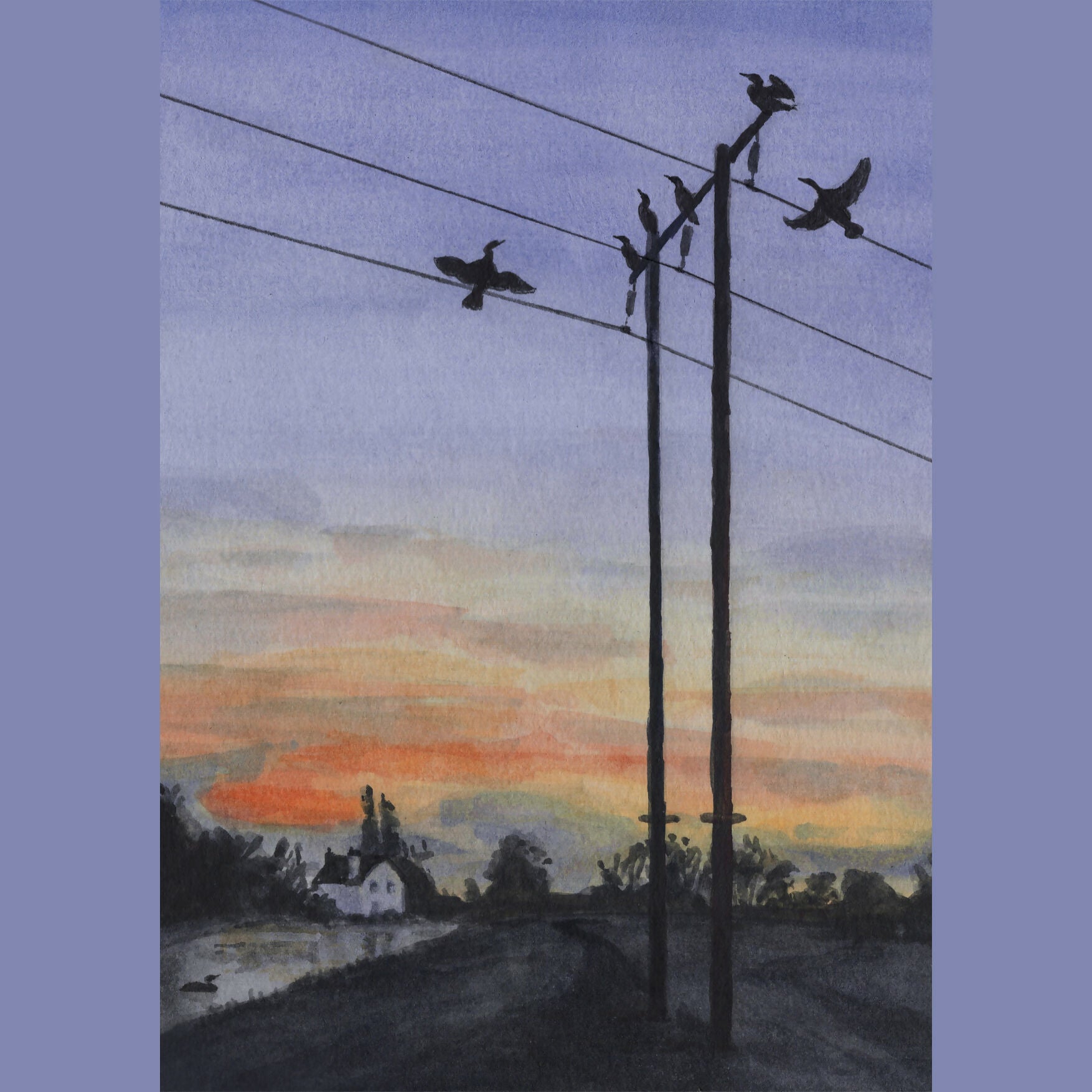 Cormorants at Sunrise - A5 Print