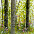 Summer Woodland Tall TeaLight