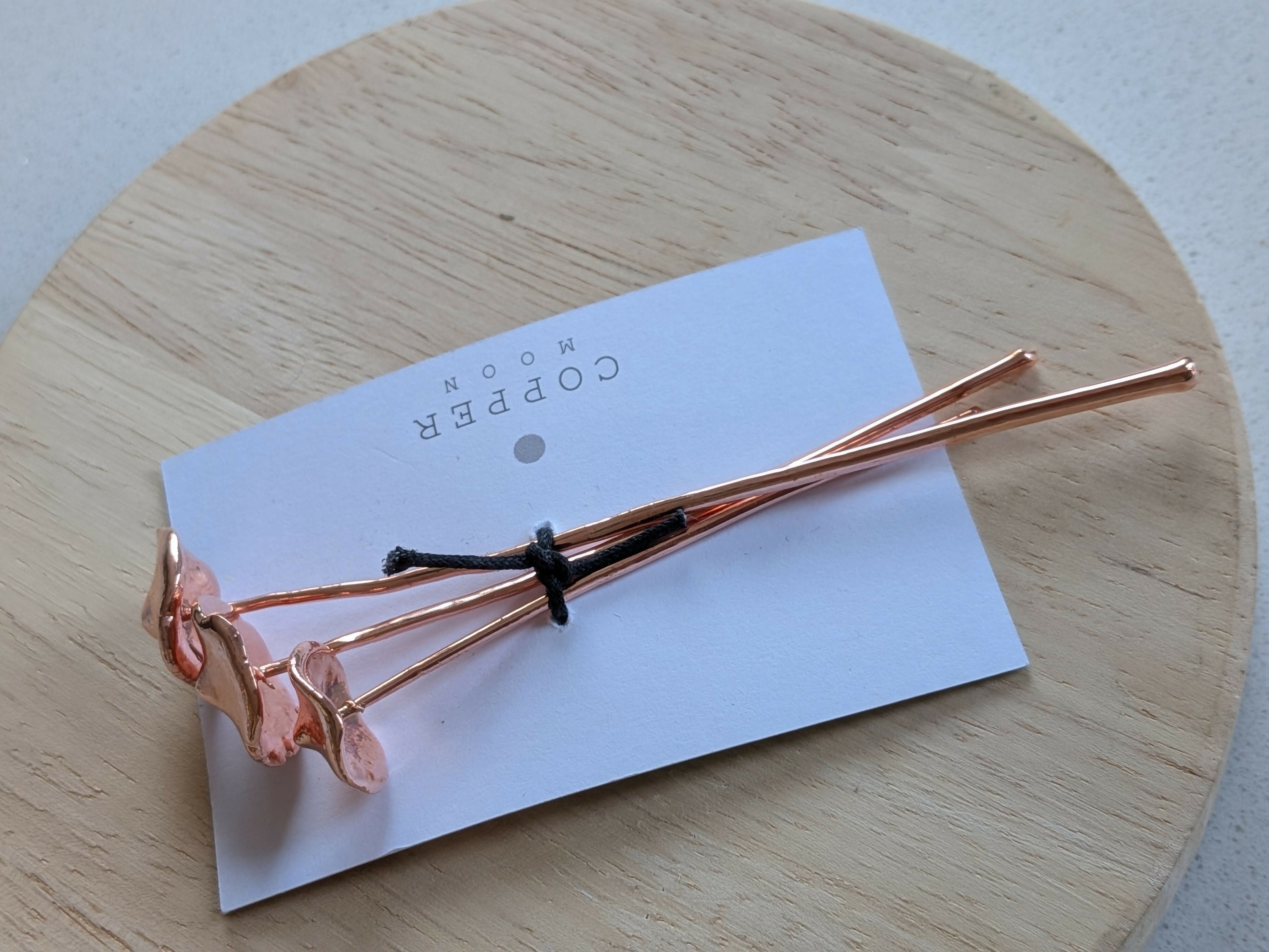 Copper Mushroom Plant Decoration